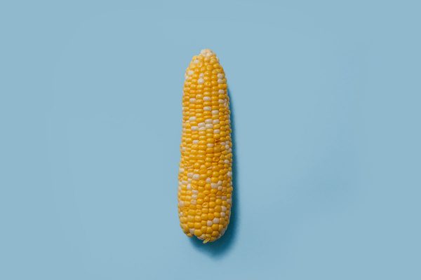 Ģenētiski modificēta pārtika